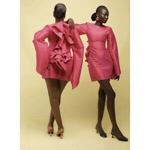 Orire Dayar Pink Ruffled Back High Neck Asymmetrical Sleeves Mini Dress U.S. 2